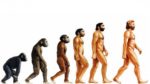Evrim Nedir? Evrim Hakkında Her Şey…