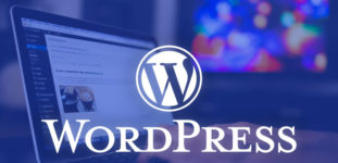 WordPress Veritabanı Bağlantısı Kurulurken Hata Oluştu Çözümü