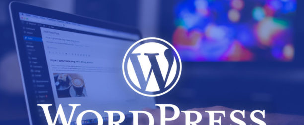 WordPress Veritabanı Bağlantısı Kurulurken Hata Oluştu Çözümü